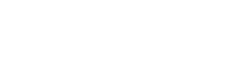 Shopify Partner